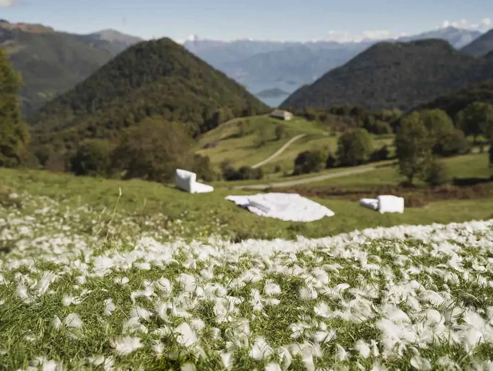 ASSOPIUMA_Compostabilité Ph. Max Rommel.webp