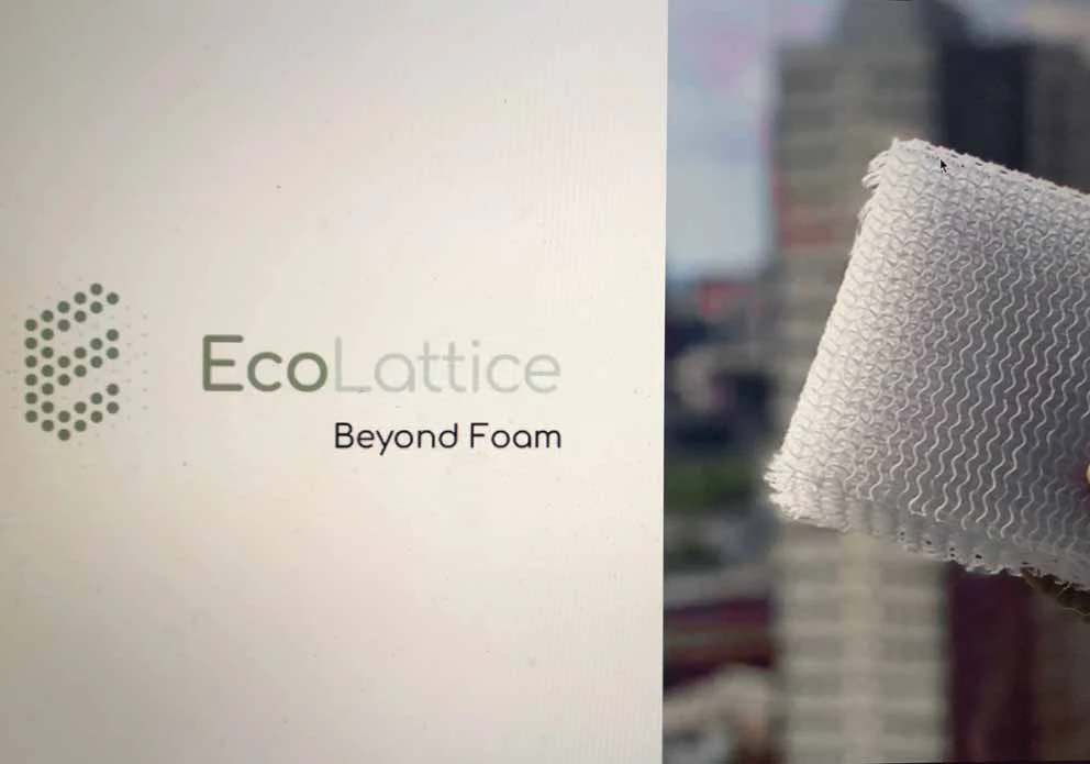 EcoLattice.webp