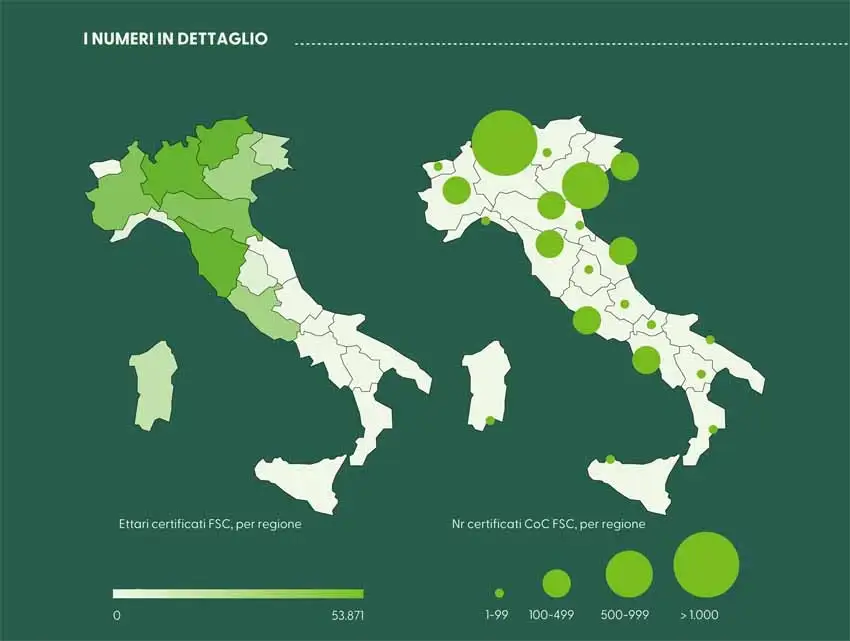 FSC_Infografica report 2025 italia.webp