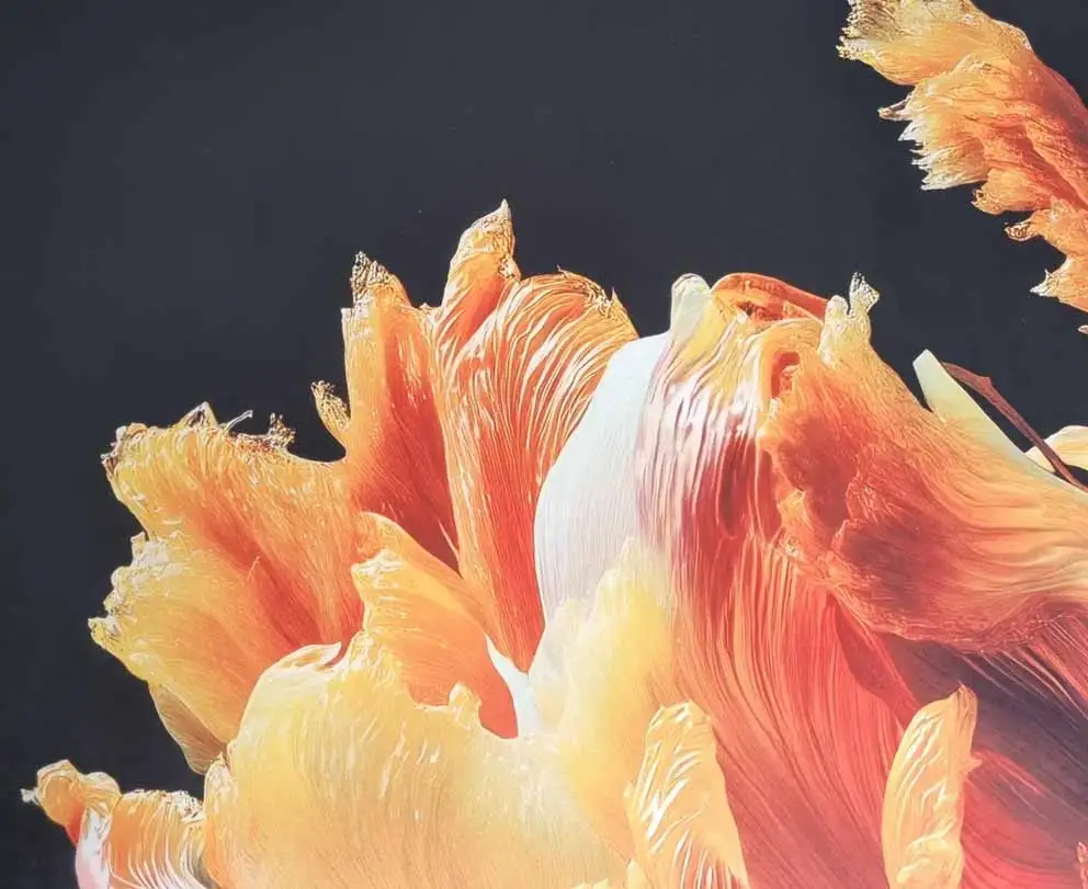 Stampa digitale a sublimazione su tessuti di Dino Zoli Textile: massima personalizzazione